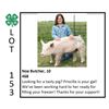 Image 1 : Noa Butcher - Swine