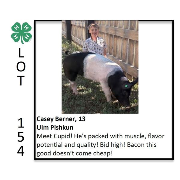 Casey Berner - Swine