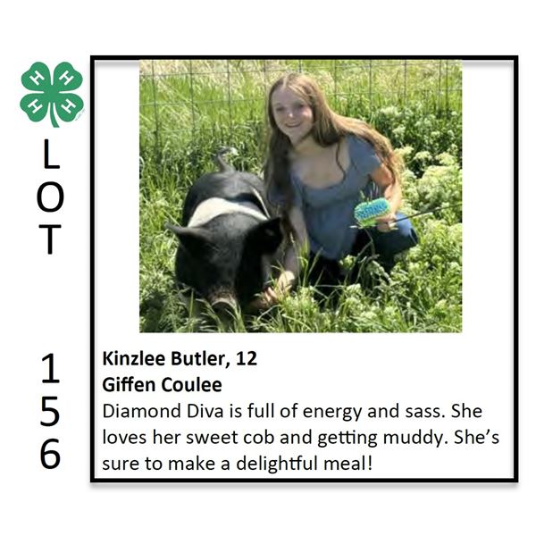 Kinzlee Butler - Swine