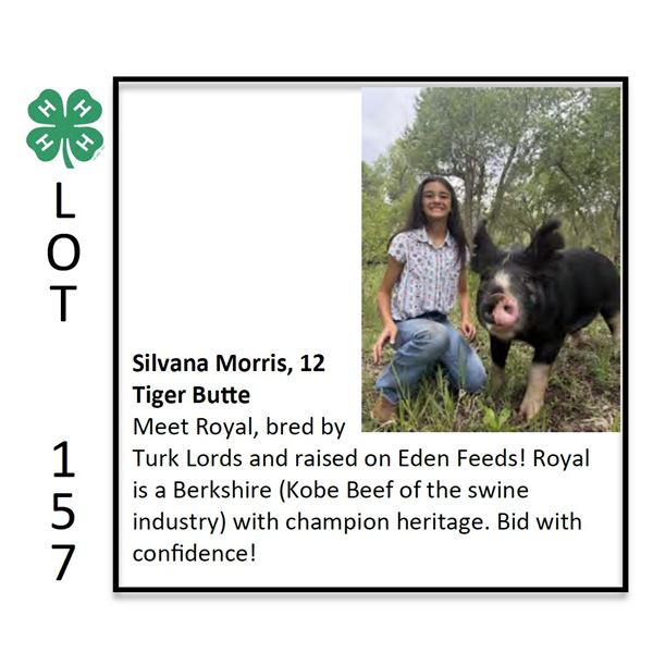 Silvana Morris - Swine
