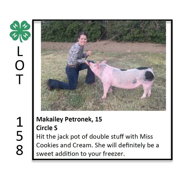 Makailey Petronek - Swine