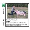 Image 1 : Makailey Petronek - Swine