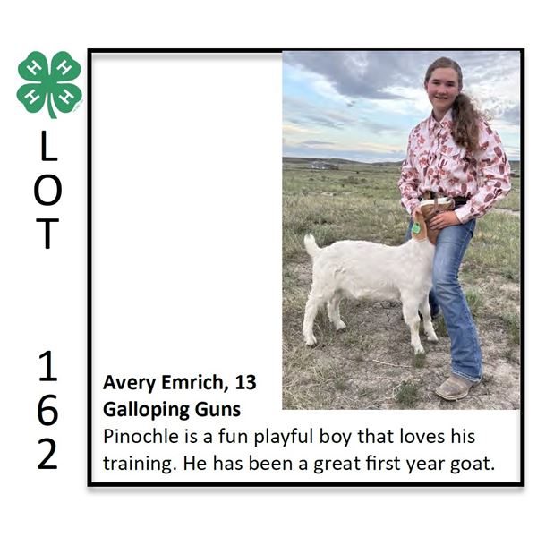 Avery Emrich - Goat