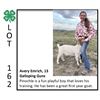 Image 1 : Avery Emrich - Goat