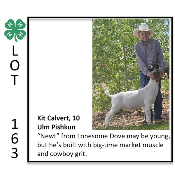 Kit Calvert - Goat
