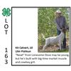Image 1 : Kit Calvert - Goat