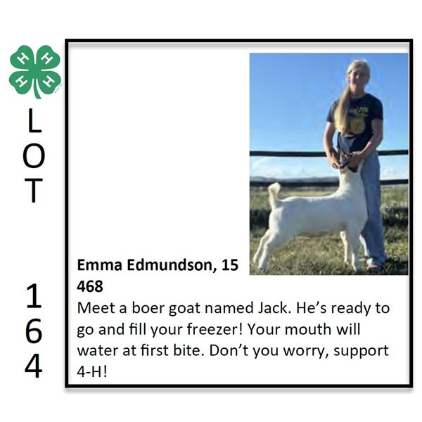 Reserve Champion  - Goat - Emma Edmundson - Goat
