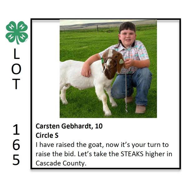 Grand Champion  - Poultry - Carsten Gebhart - Goat