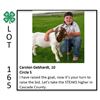 Image 1 : Grand Champion  - Poultry - Carsten Gebhart - Goat