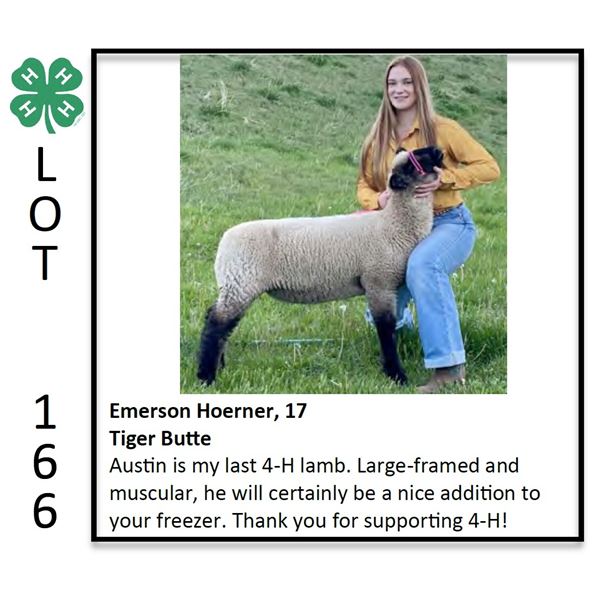 Emerson Hoerner - Sheep