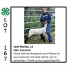Image 1 : Leah Mackey - Sheep