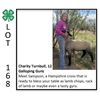 Image 1 : Charity Turnbull - Sheep