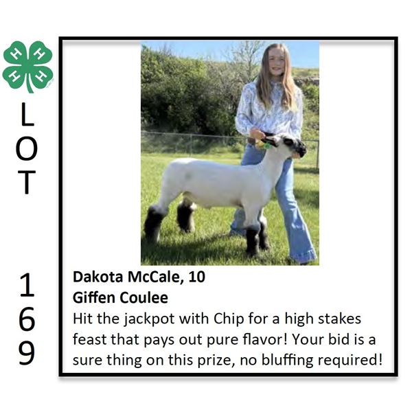 Dakota McCale - Sheep