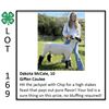Image 1 : Dakota McCale - Sheep