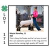 Image 1 : Maysa Standley - Sheep
