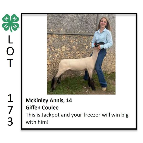 McKinley Annis - Sheep