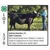 Image 1 : Sydney Rearden - Beef