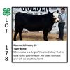Image 1 : Konnor Johnson - Beef