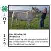 Image 1 : Riley McFarling - Beef