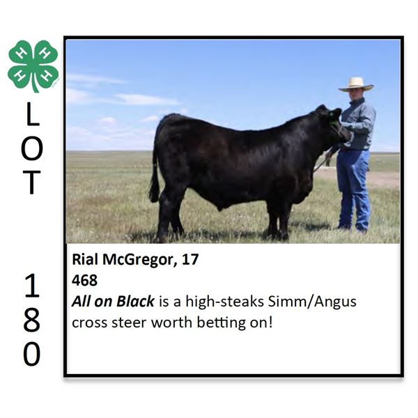 Rial McGregor - Beef