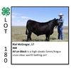 Image 1 : Rial McGregor - Beef