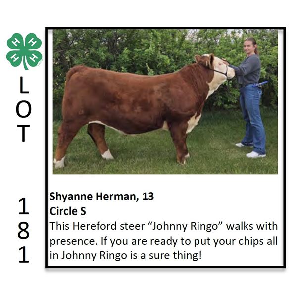 Shyanne Herman - Beef