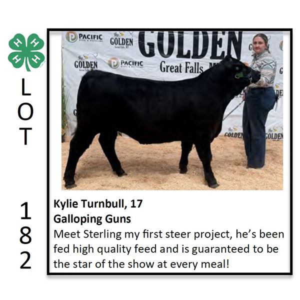 Kylie Turnbull - Beef