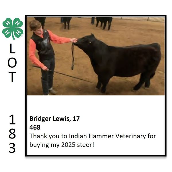Bridger Lewis - Beef