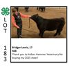 Image 1 : Bridger Lewis - Beef