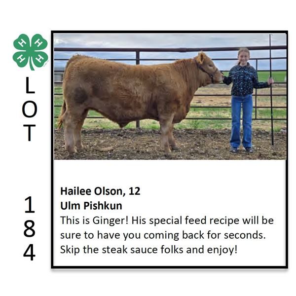 Hailee Olson - Beef