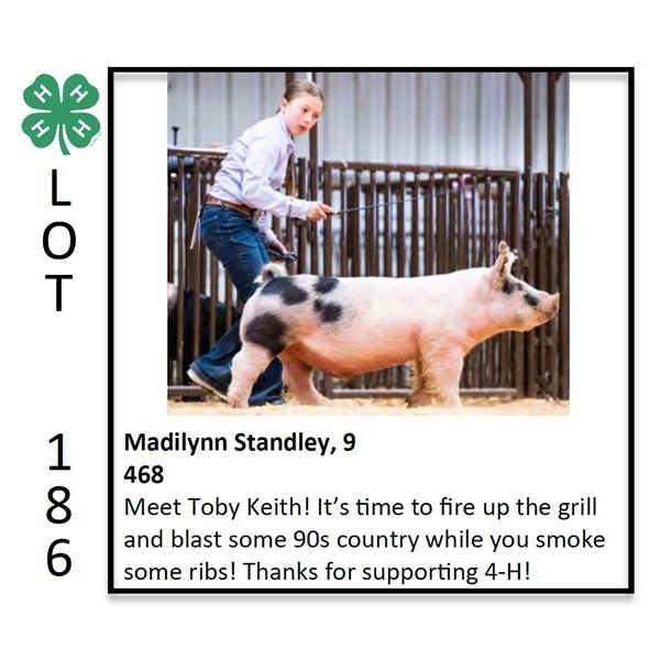 Madilynn Standley - Swine