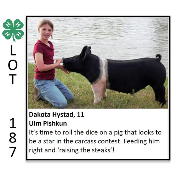 Dakota Hystad - Swine