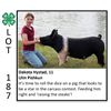 Image 1 : Dakota Hystad - Swine