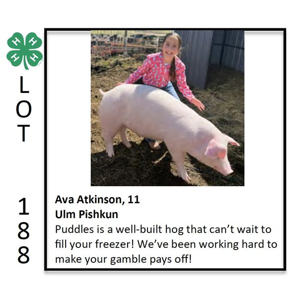 Ava Atkinson - Swine