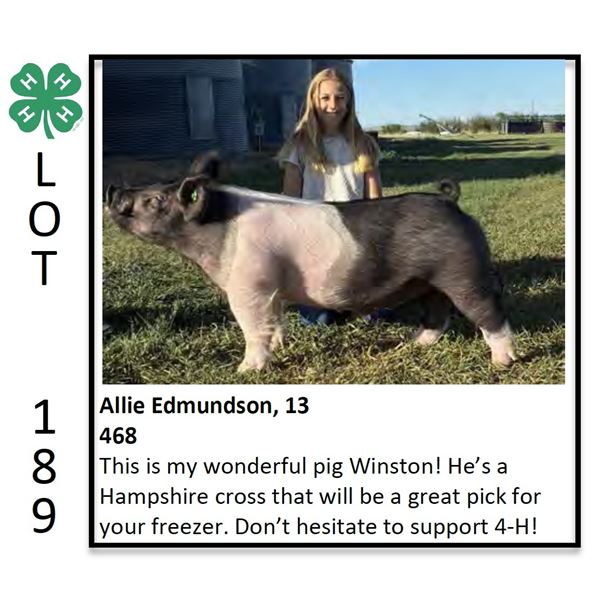 Allison Edmundson - Swine