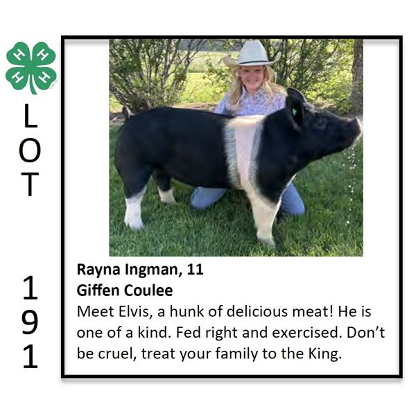 Rayna Ingman - Swine