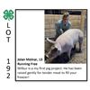 Image 1 : Jolan Molnar - Swine