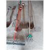 Image 3 : Assorted Yard Tools