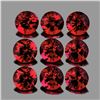 Image 1 : Natural Burma Dark Red Spinel 9 Pcs{Flawless-VVS1}