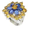 Image 2 : Natural Kyanite & Citrine Ring
