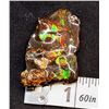 Image 1 : NATURAL MULTI COLOR FIRE AMMOLITE