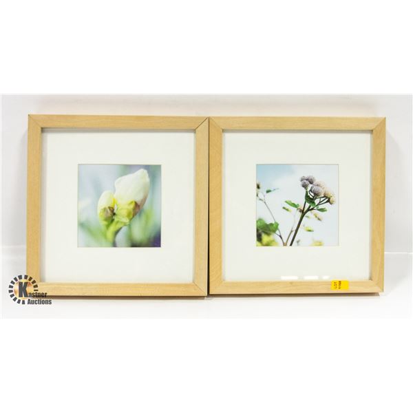 PAIR OF FLORAL PICTURES