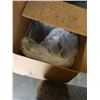 Image 3 : CASE OF PLASTIC SERVING TRAYS