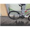 Image 2 : GREY WICKED BIKE