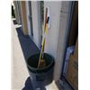 Image 1 : 2 GARBAGE CANS WITH BROOMS, DUST PAN AND MOP