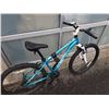 Image 3 : BLUE AND WHITE RALEIGH BIKE