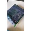 Image 3 : 2 NEW LUNCH BAGS AND 2 PACKS OF RE-USEABLE ICE PACKS