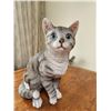 Image 1 : Cat Statue - Salsbury Greenhouse 12T