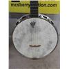 Image 2 : Hillbilly Hoedown Banjo with Case - Can't Find Makers Mark - Gold Tone Case