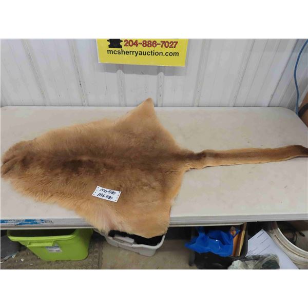 Tanned Kangaroo Hide 62" Tip to Tip